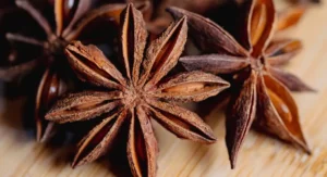 star anise article hero copy